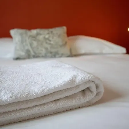 Daire L'oeillet - Place Plumereau *