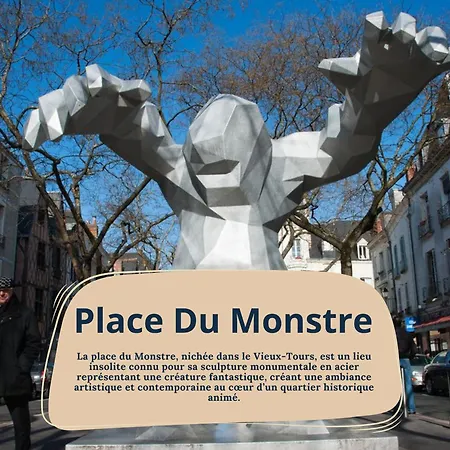 Daire L'oeillet - Place Plumereau *