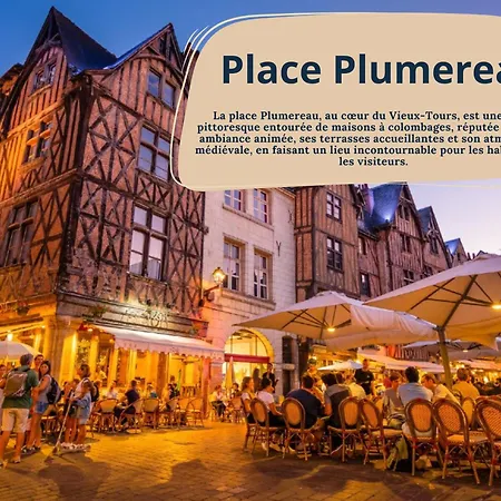 L'oeillet - Place Plumereau Daire *