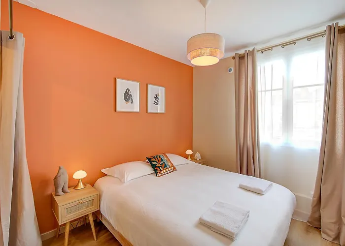 L'oeillet - Place Plumereau Appartement Tours