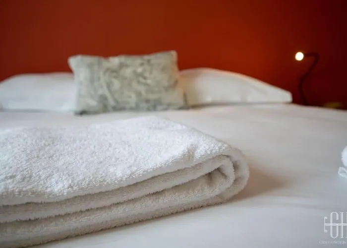 Daire L'oeillet - Place Plumereau *