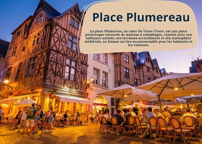 L'oeillet - Place Plumereau Daire *